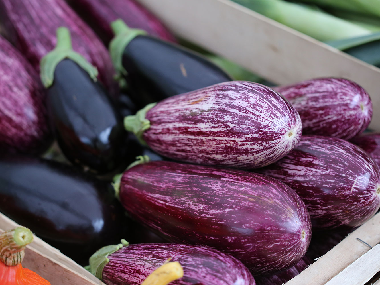 Aubergines façon frite