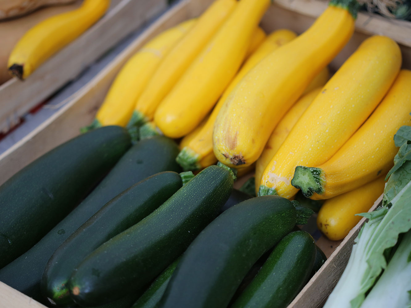 Carpaccio de courgettes